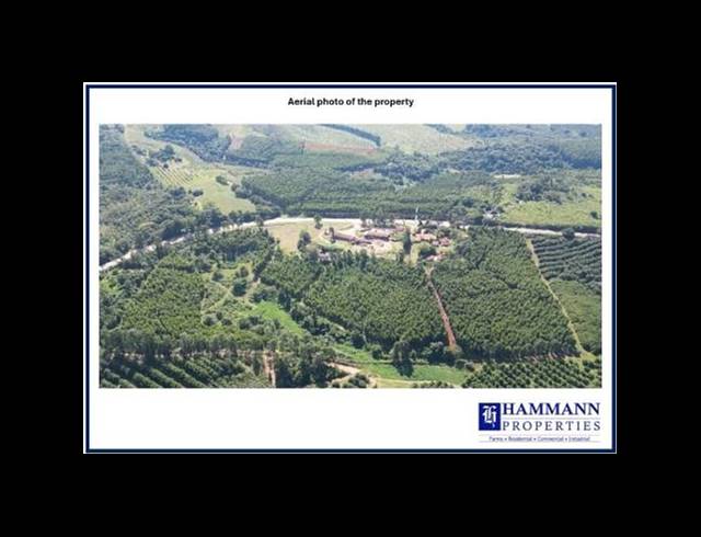 FARM FOR SALE IN LEVUBU